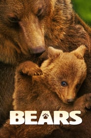 مستند خرس ها  Bears
