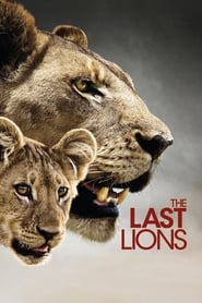 مستند آخرین شیر  The Last Lions